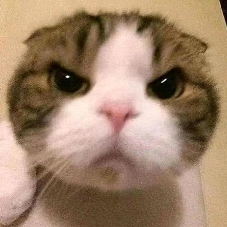 故听