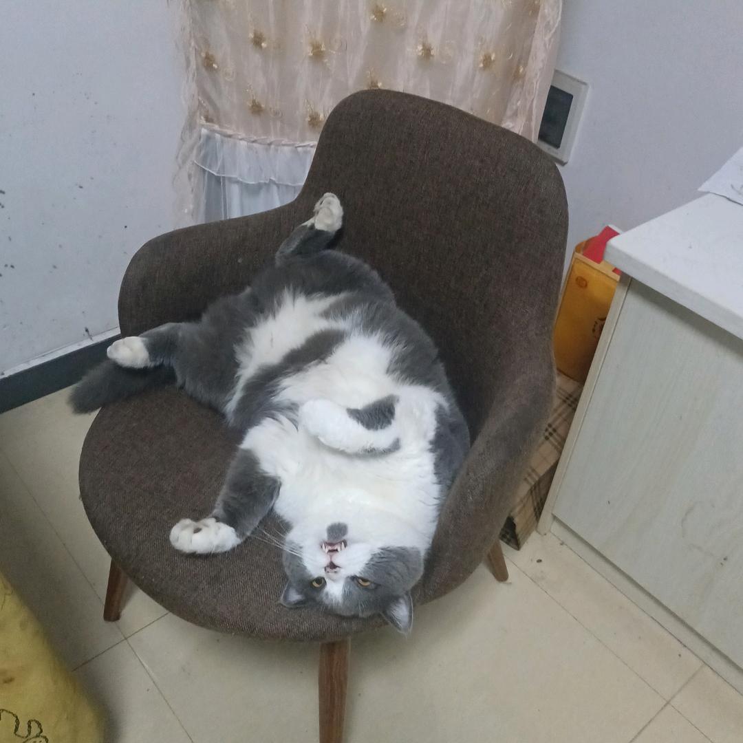 混也是一种生活