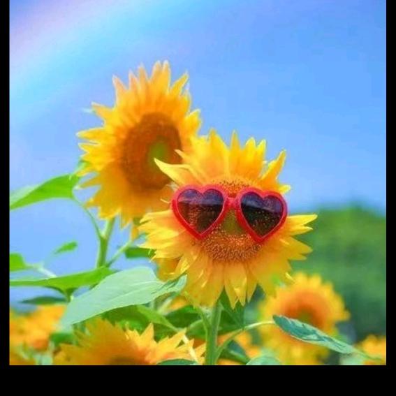 大富婆的老公总裁