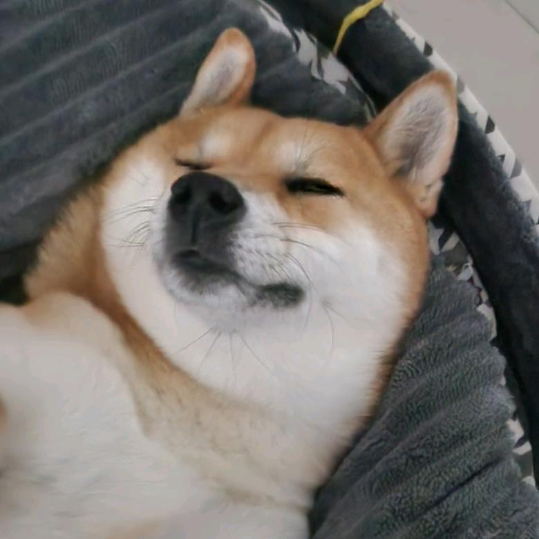 万宝路和咖啡