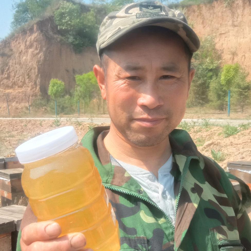 南拐养蜂人王新荣