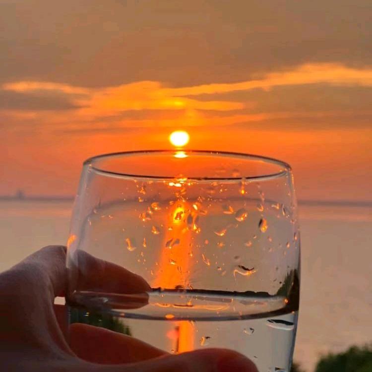 没有水的海