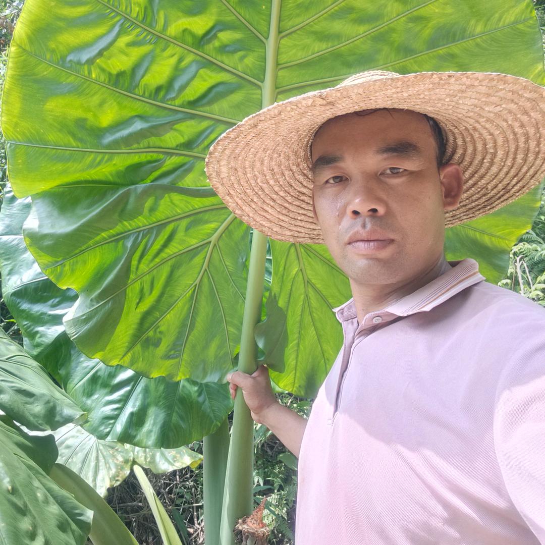 生态黑山羊，养殖