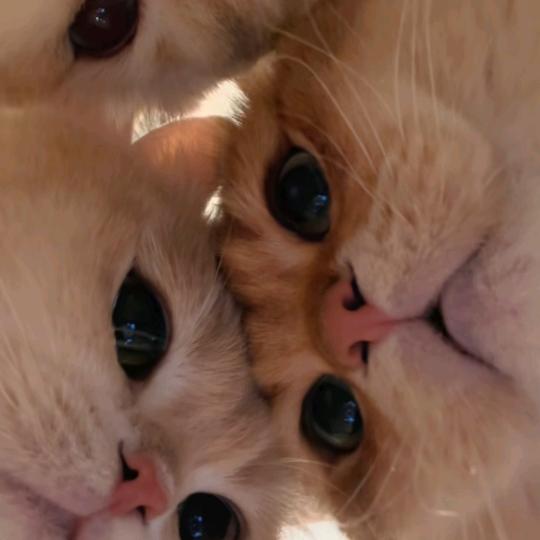 蕾蕾宝贝