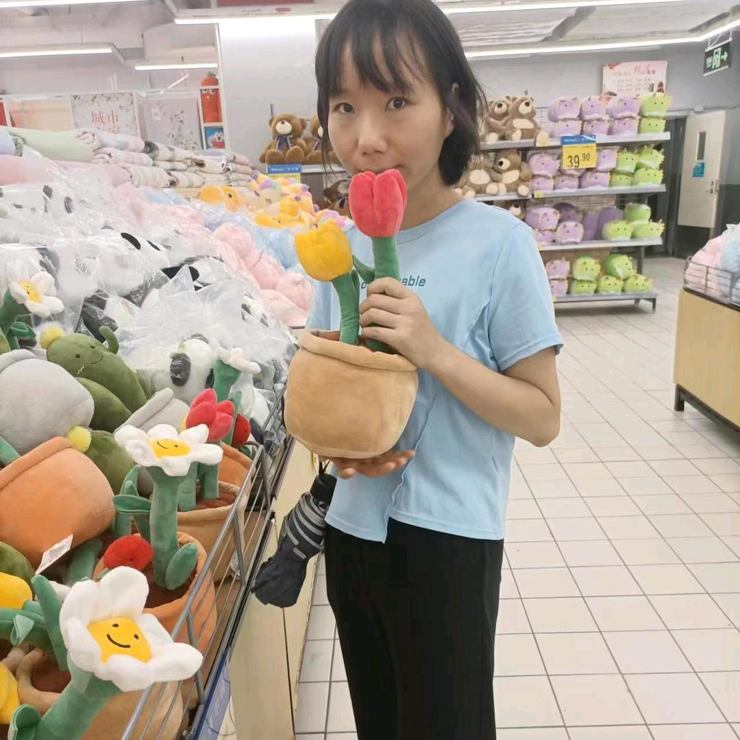 小刘和美丽