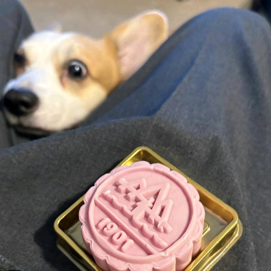 🍪曲奇饼干