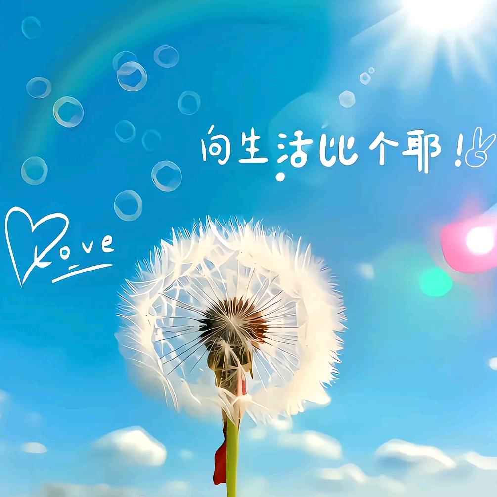 🍀一切都好🍀