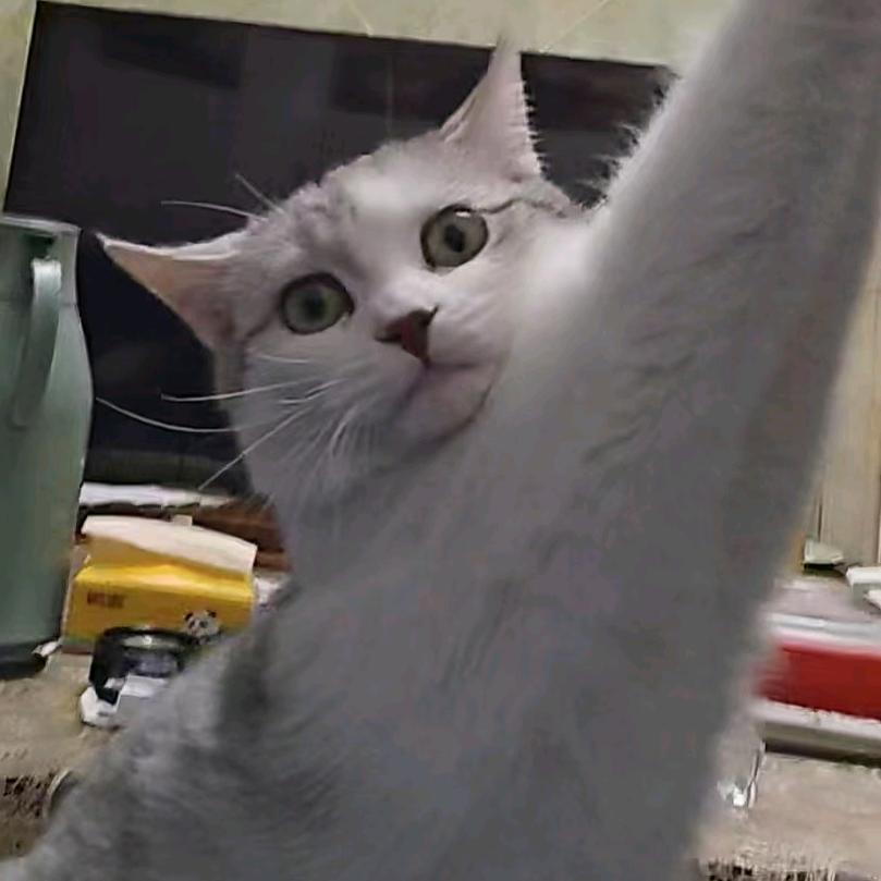 南小书