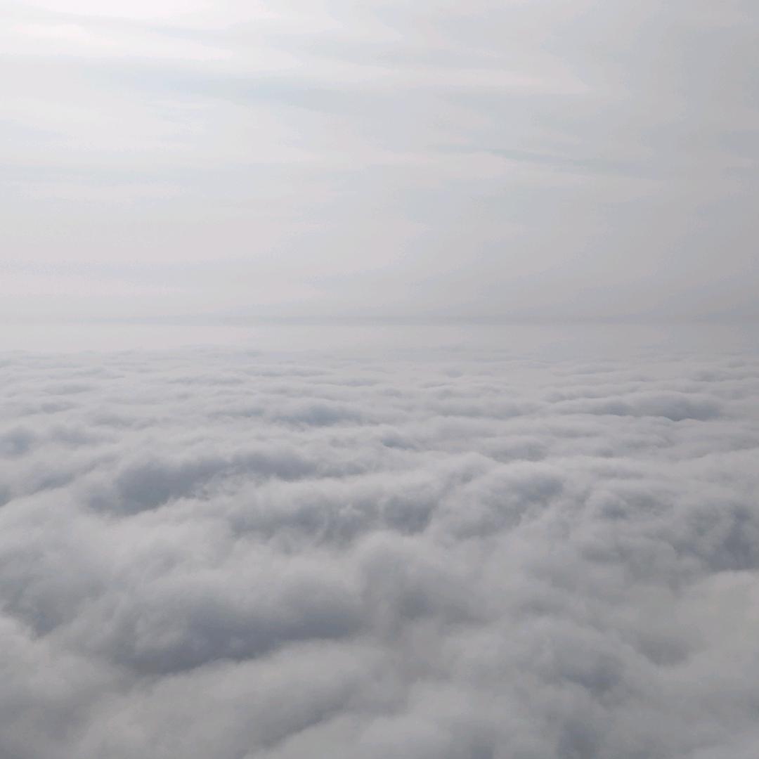 ✈️ 猴子开飞机 ✈️