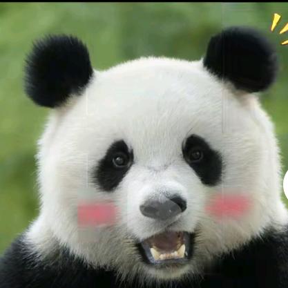 福运满满