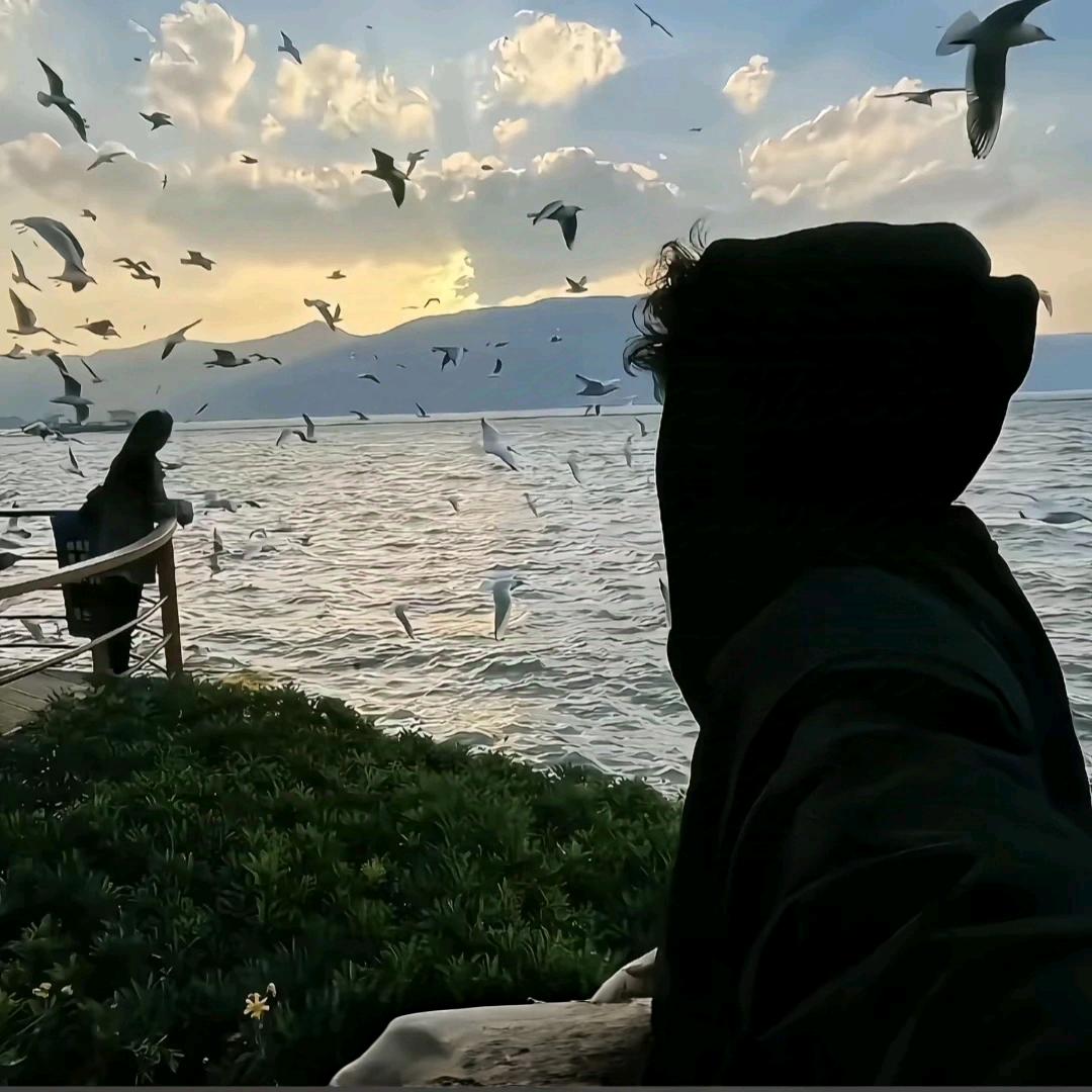小张不嚣张