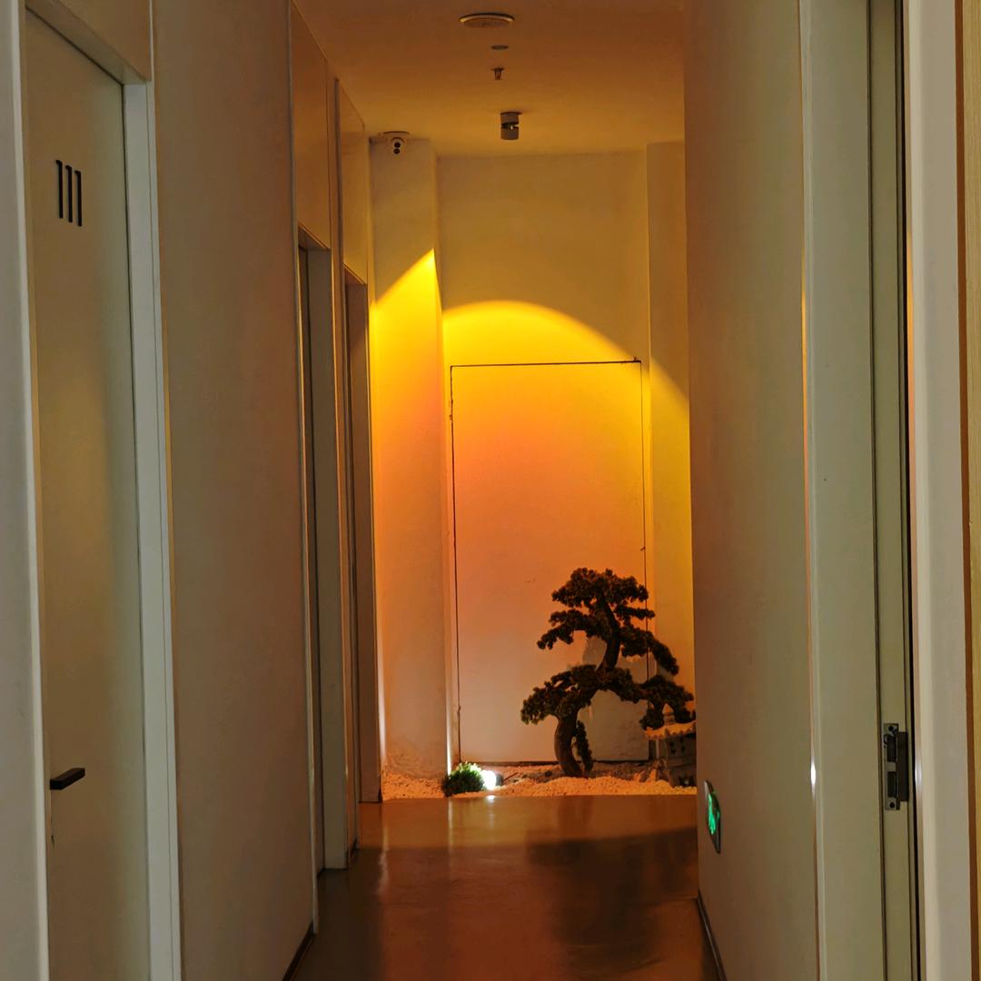 合肥珊珊（楠饰） 直播号