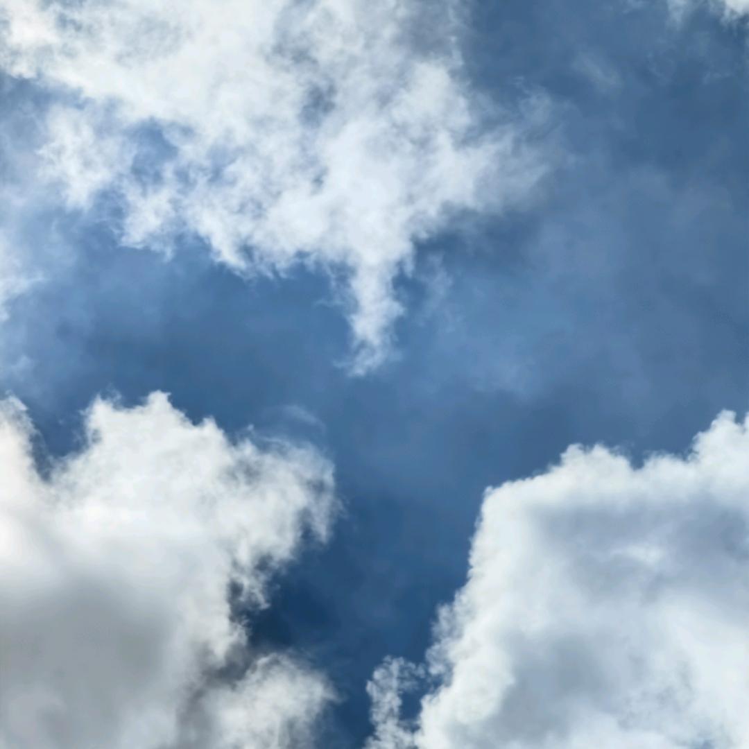 秦炳煌（丁未）