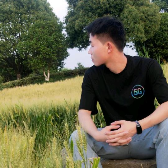 如若灯火阑珊