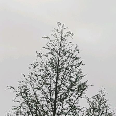 聊起来