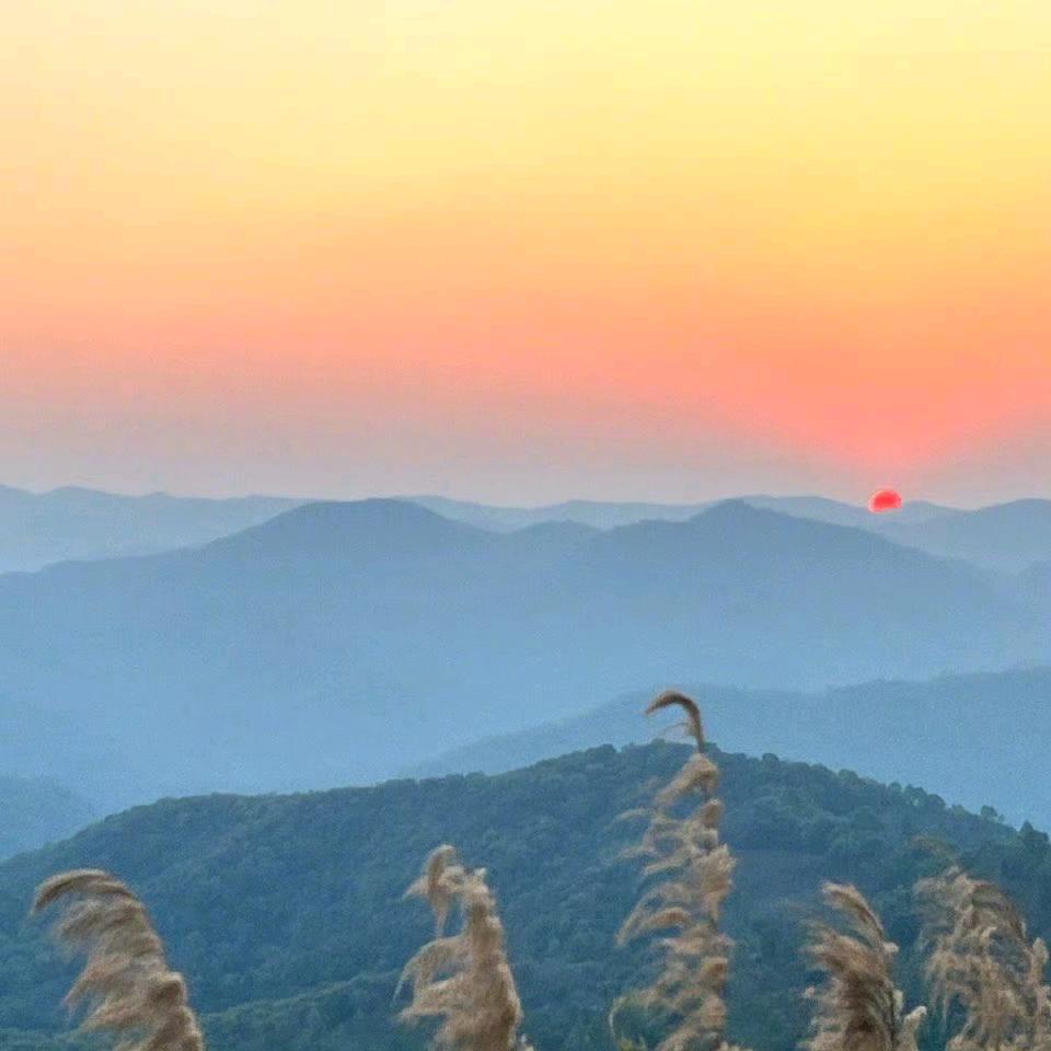李所当然