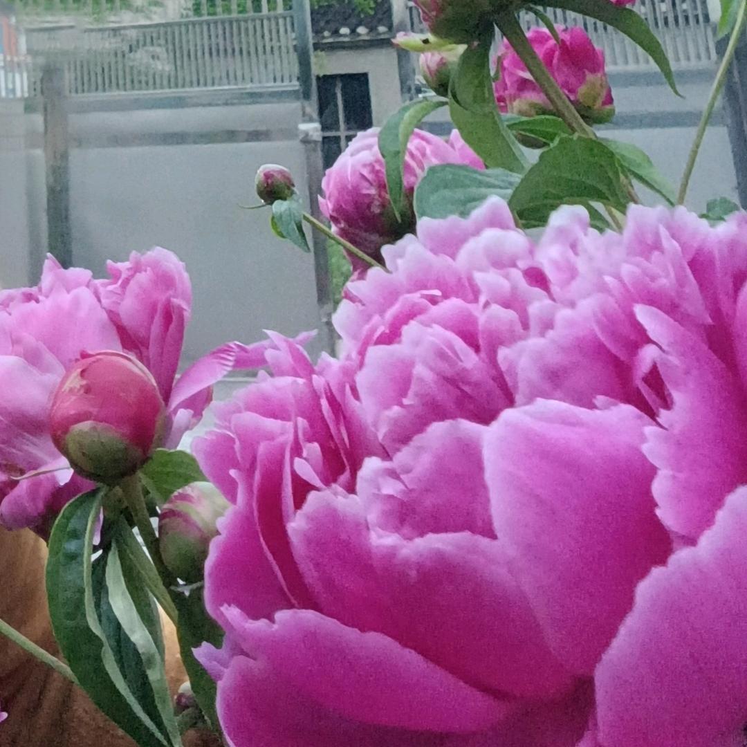 钱💰不私聊😊