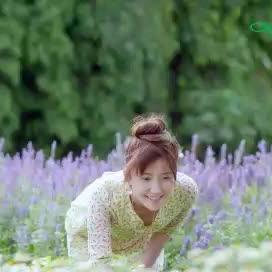 无心人不动情☞