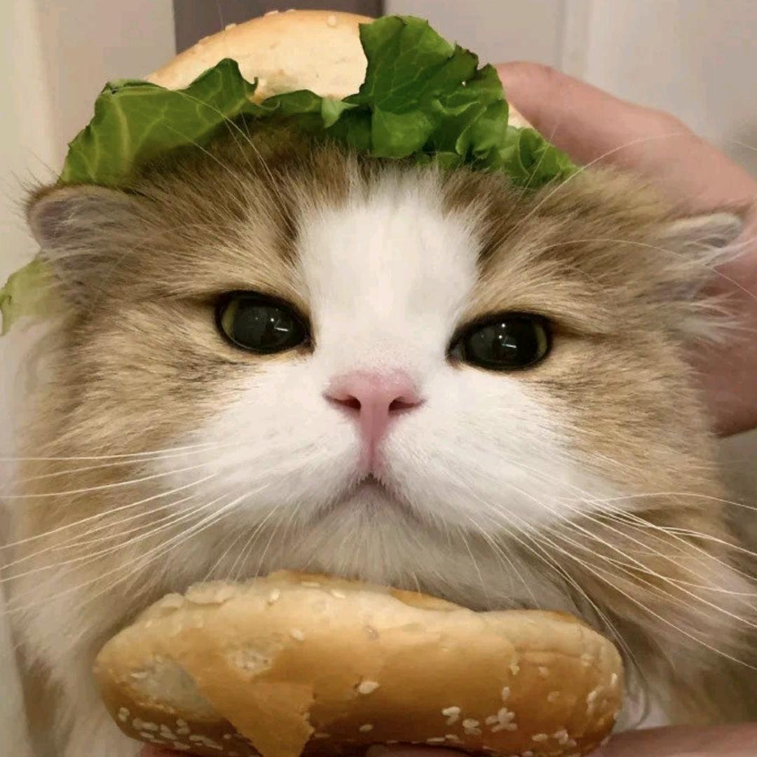 荒