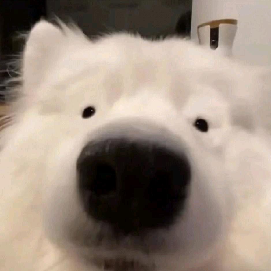 凡凡一点烦