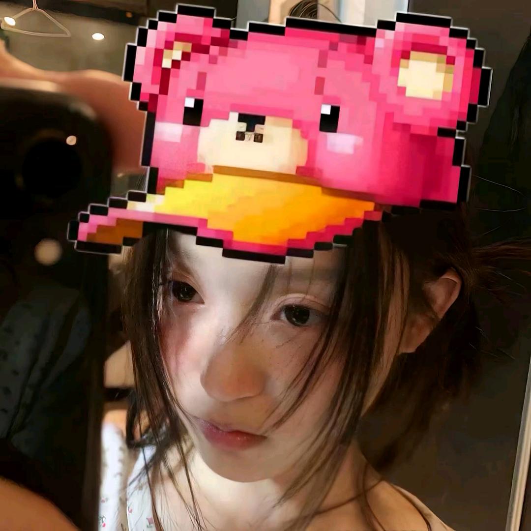 🐏小鑫.