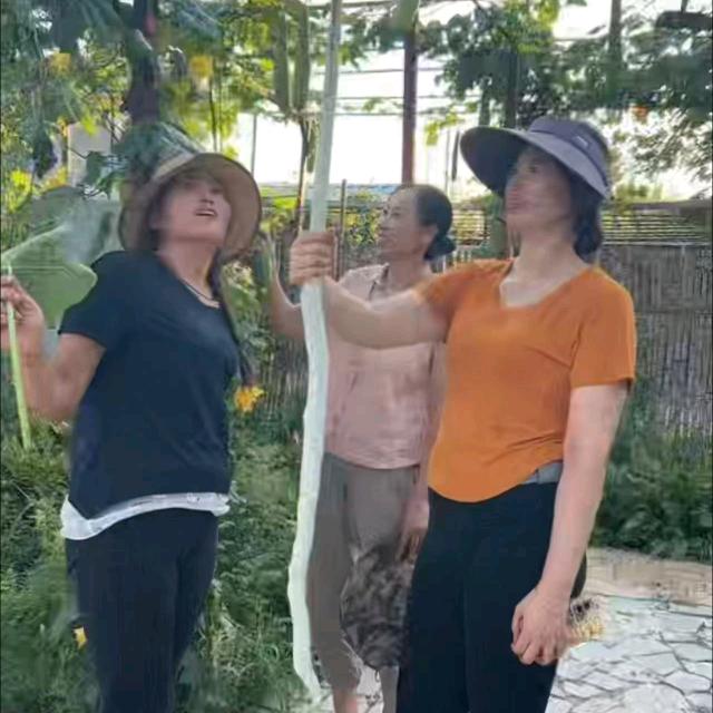 三个女人