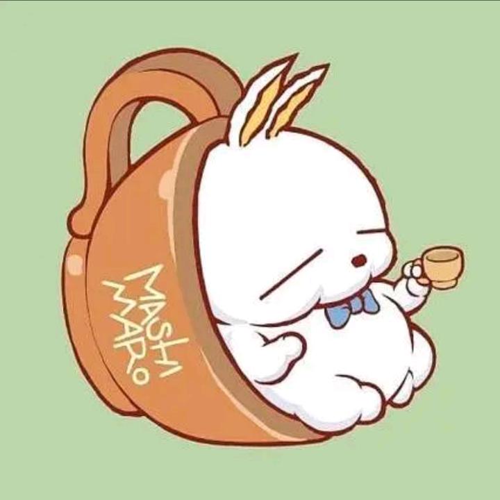 疯子兔