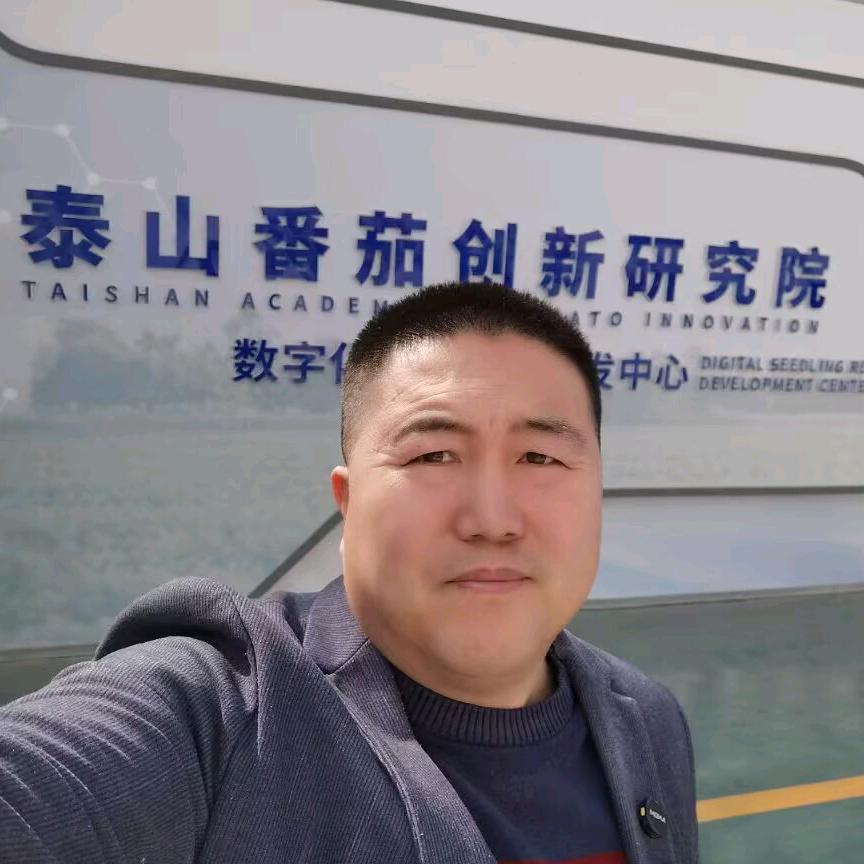 老梁番茄种植