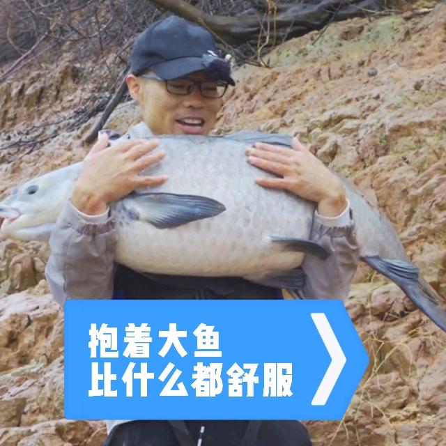 天天看钓鱼