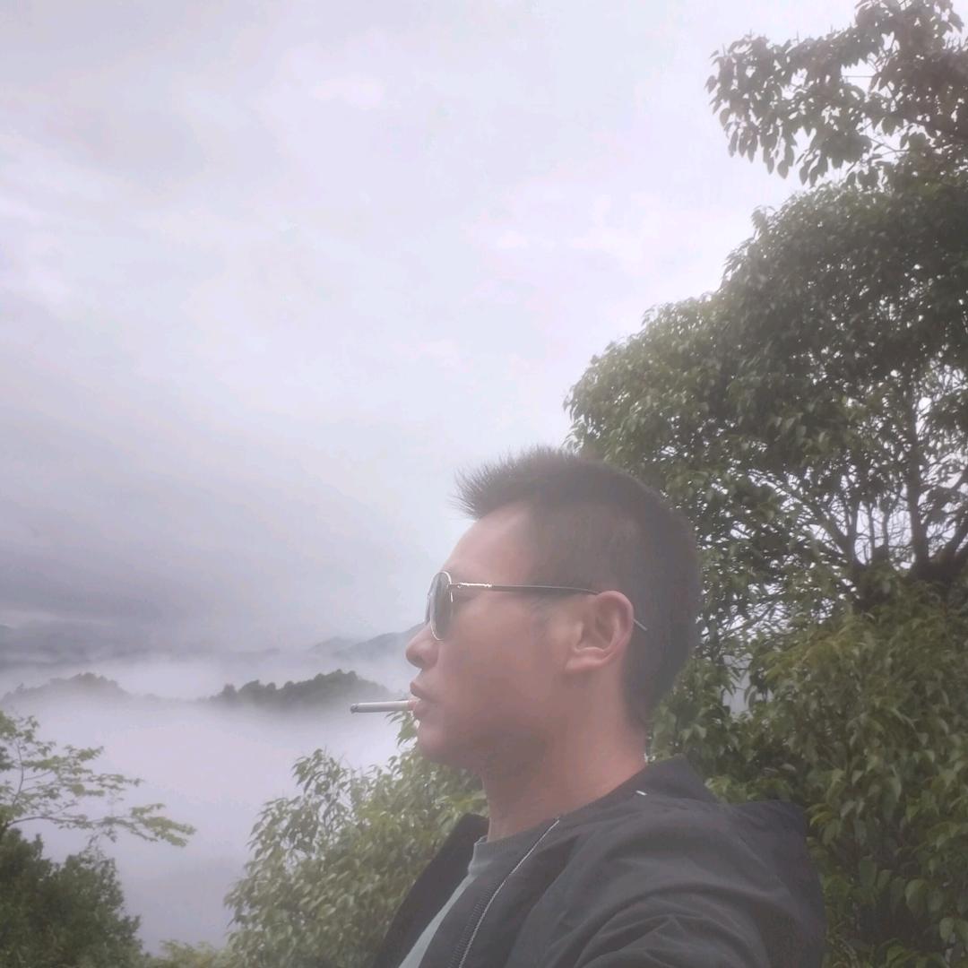 掌上民朱老飞古