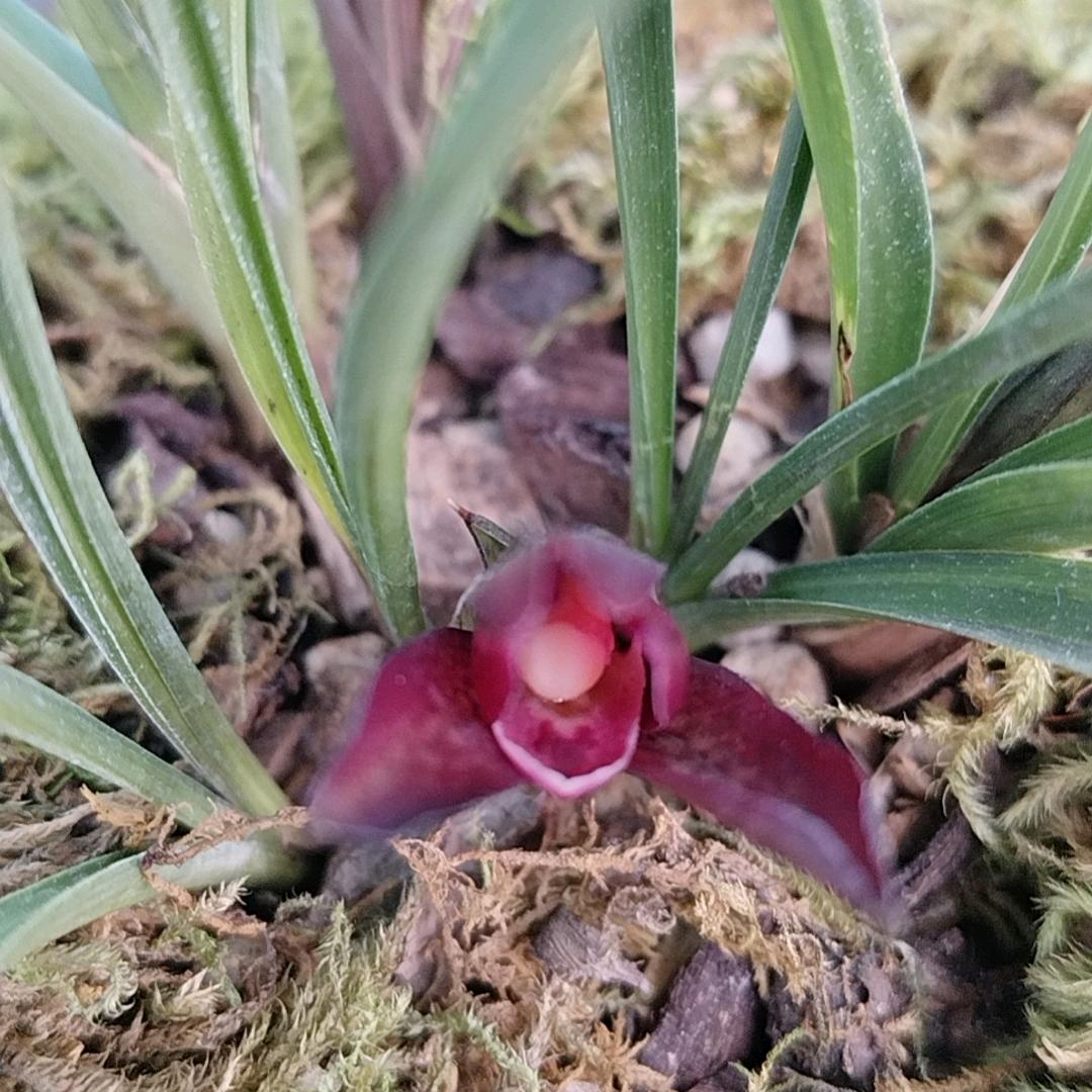 一切归零爱谁谁