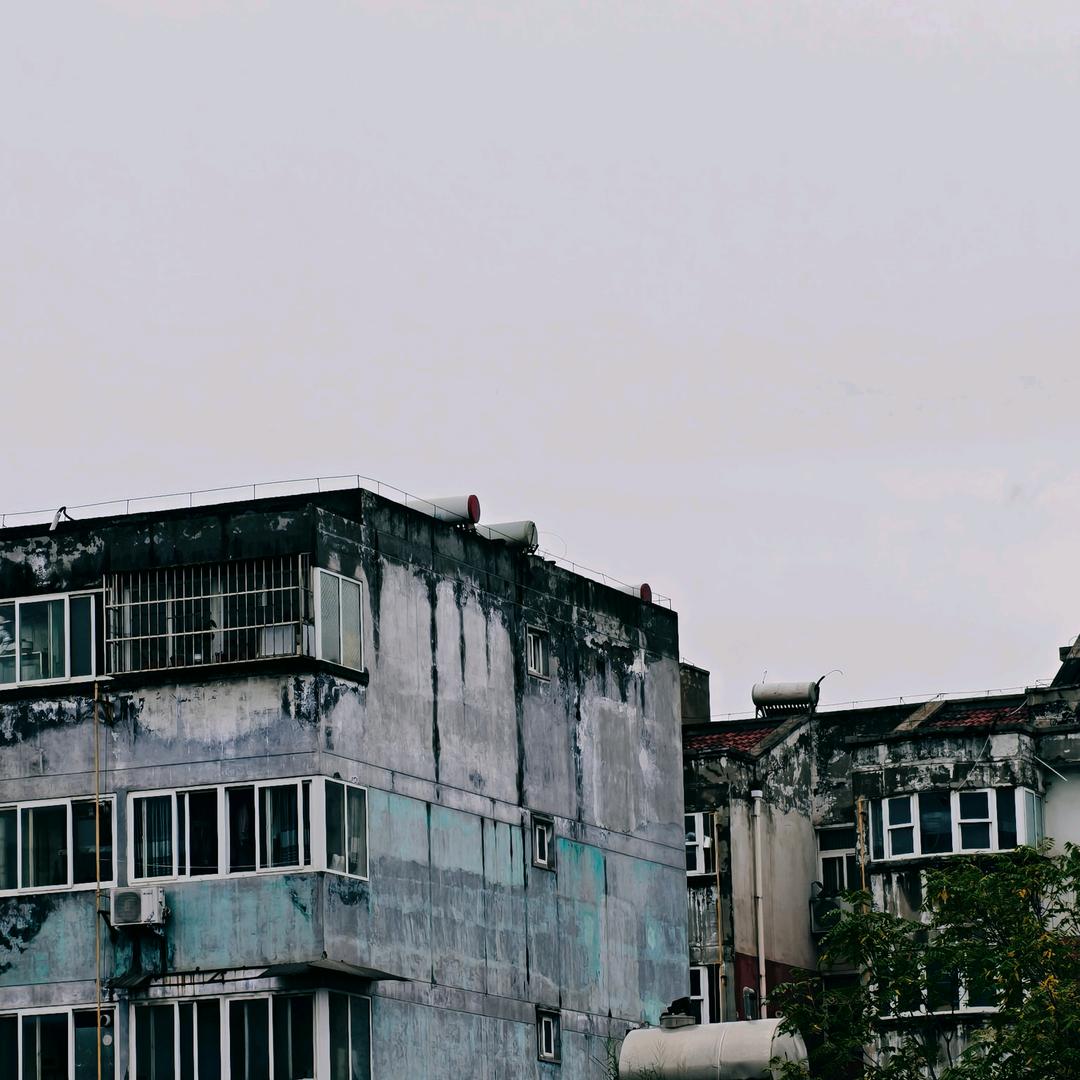 就带我飞