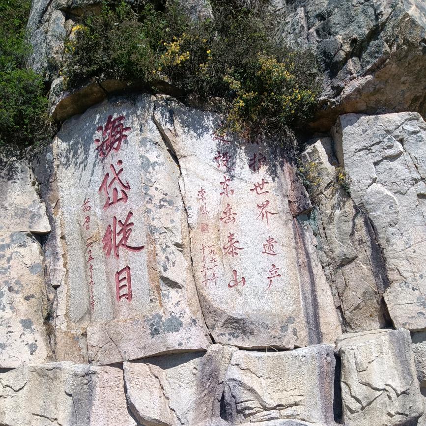 东仔（承蒙厚爱）
