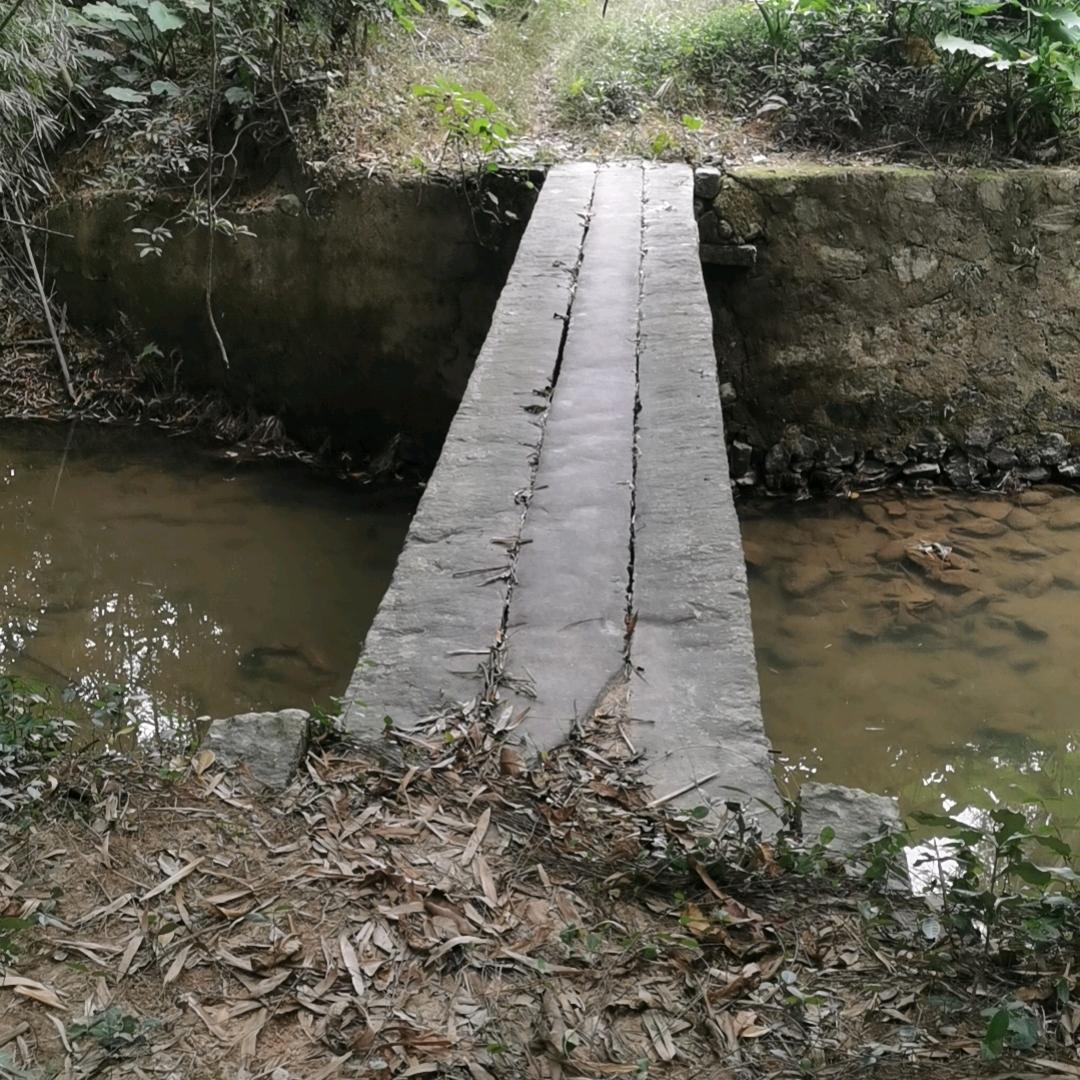 潭公中心村首户