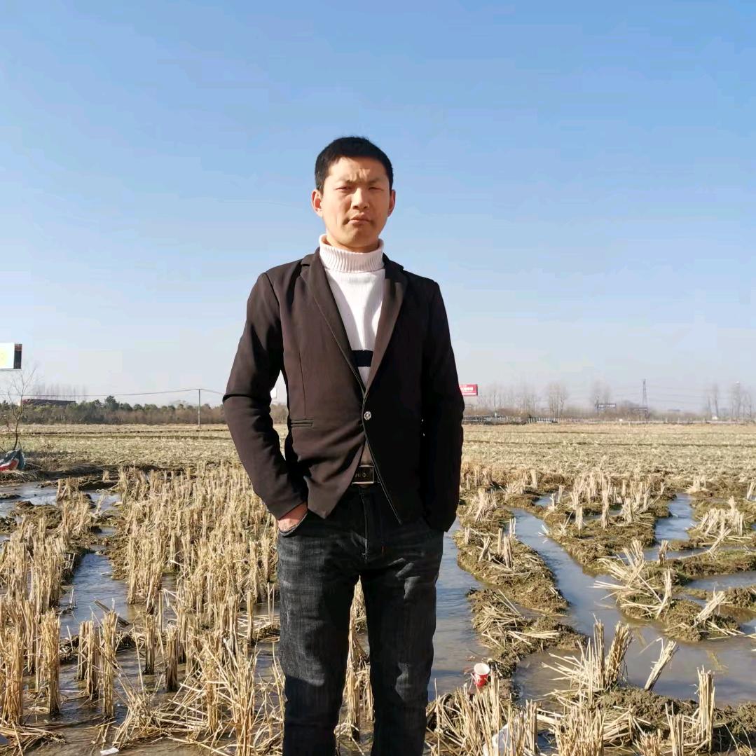 积极向上的东坡