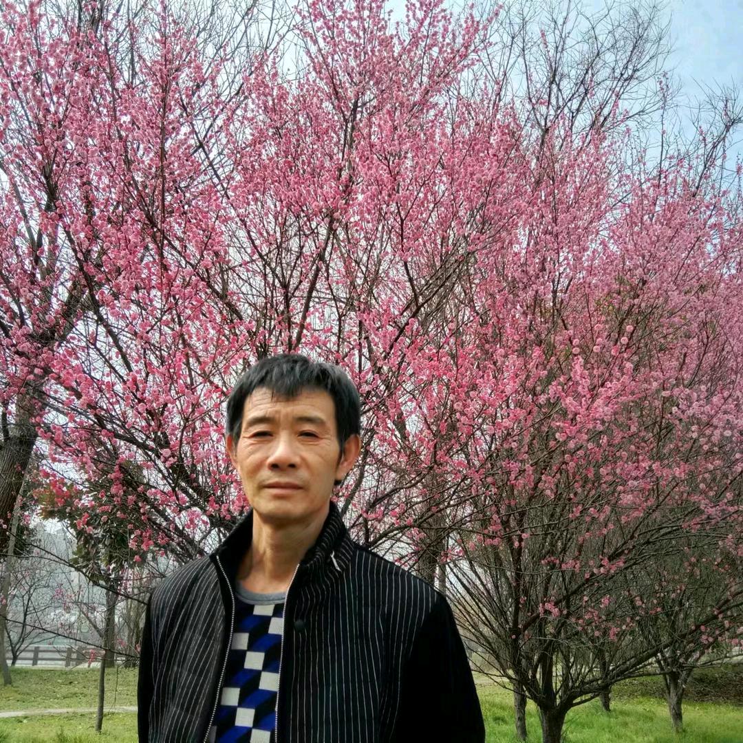 陈二哥哥