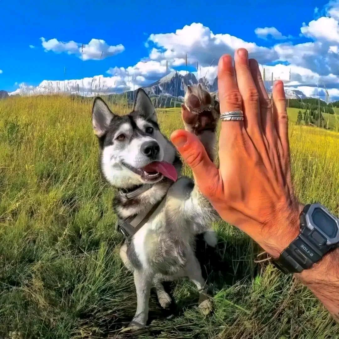 方丈洗头用飘柔