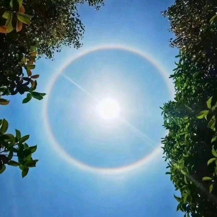 梁彩虹