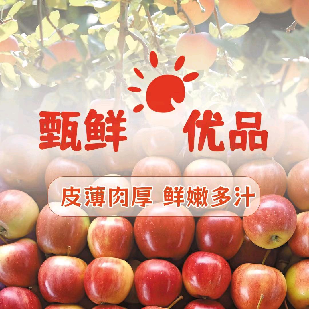 甄鲜优品生鲜店