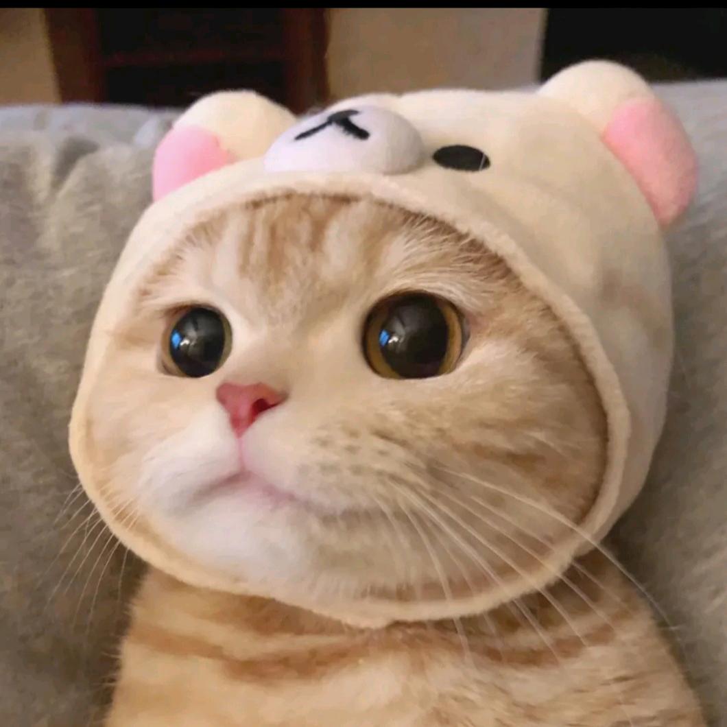 86岁爱抢棒棒糖