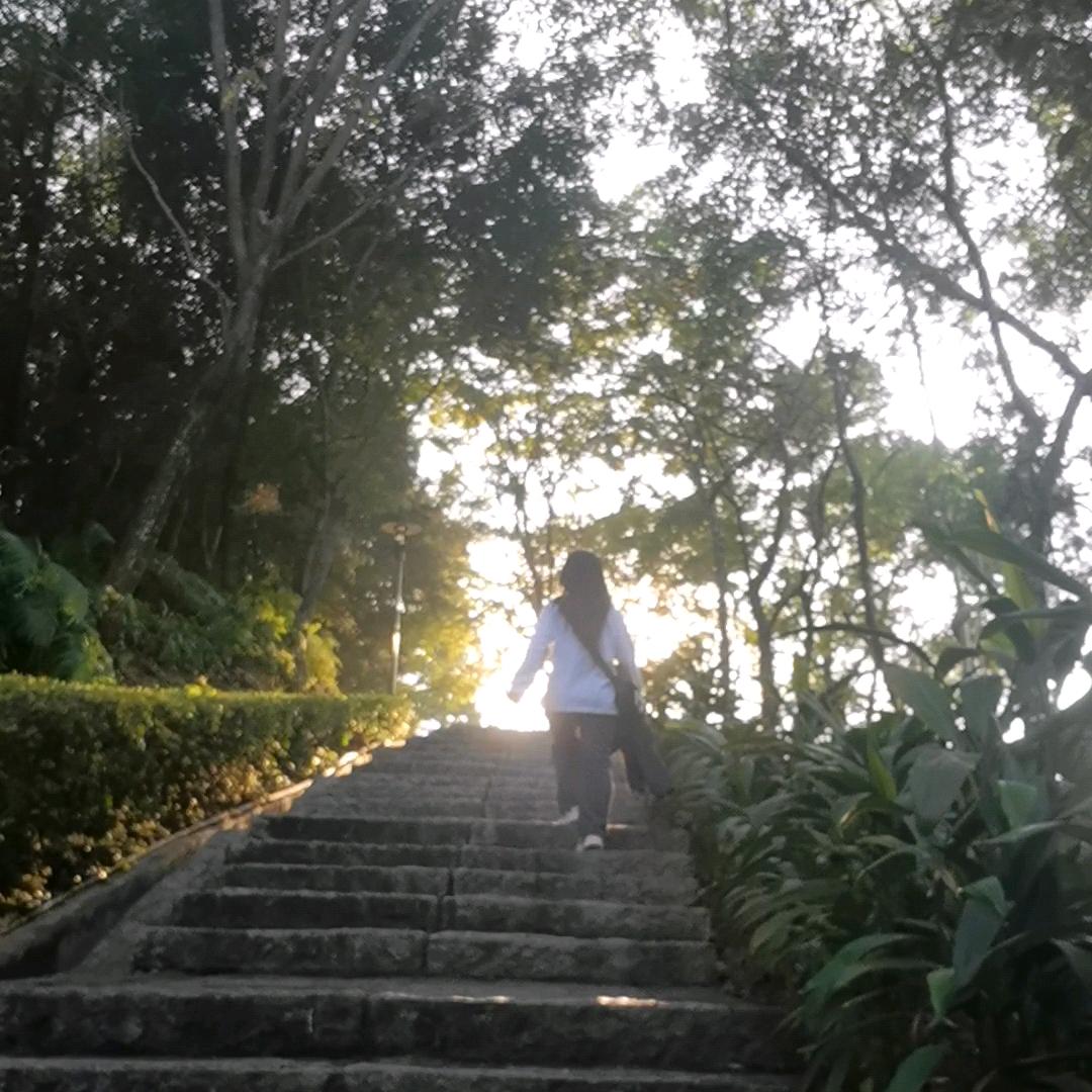 小风摇