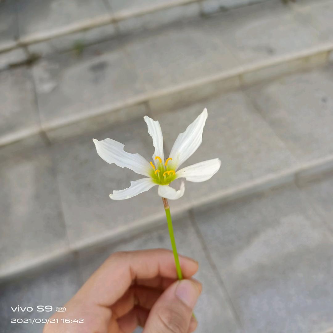 睁着眼的凡小弟