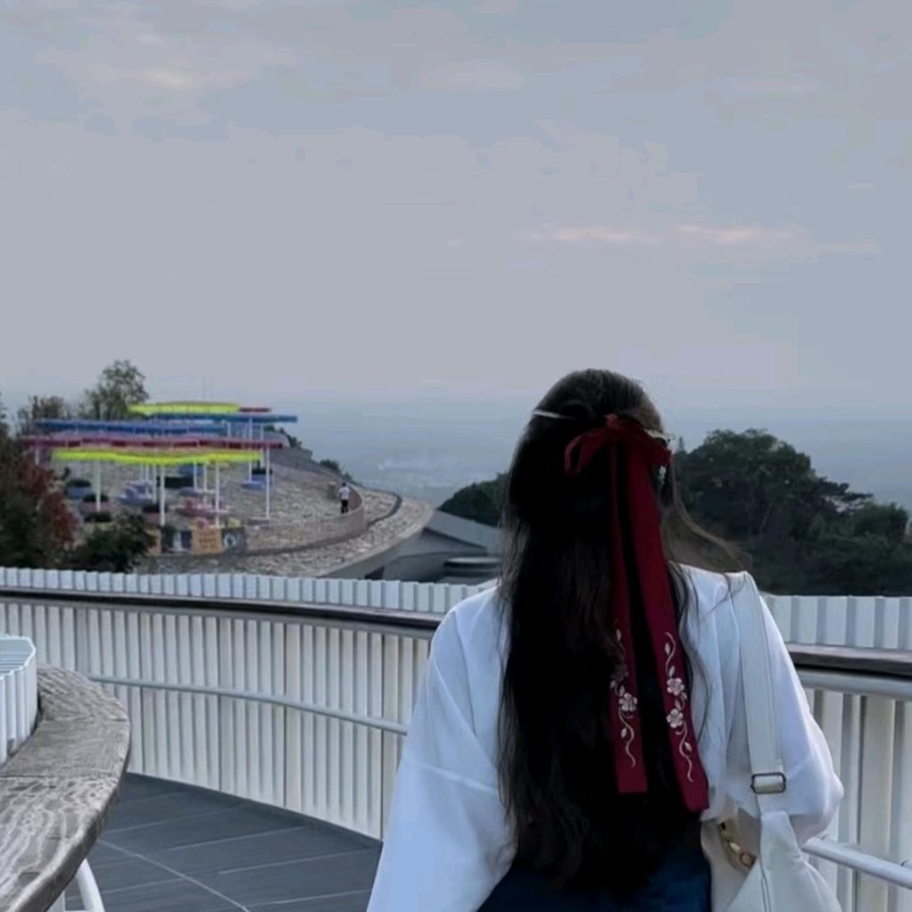 茳茳叫小白