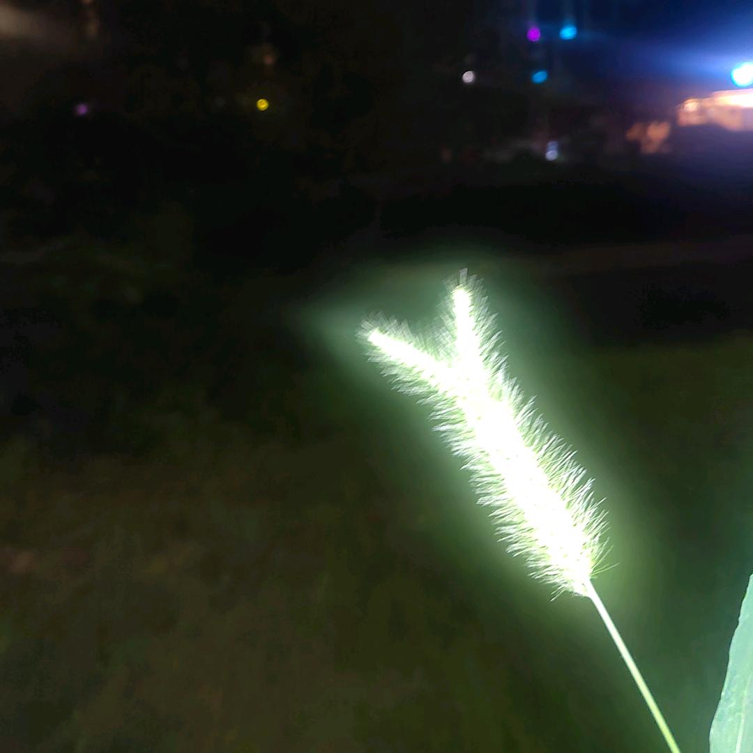 爱吃芋饺的小孩