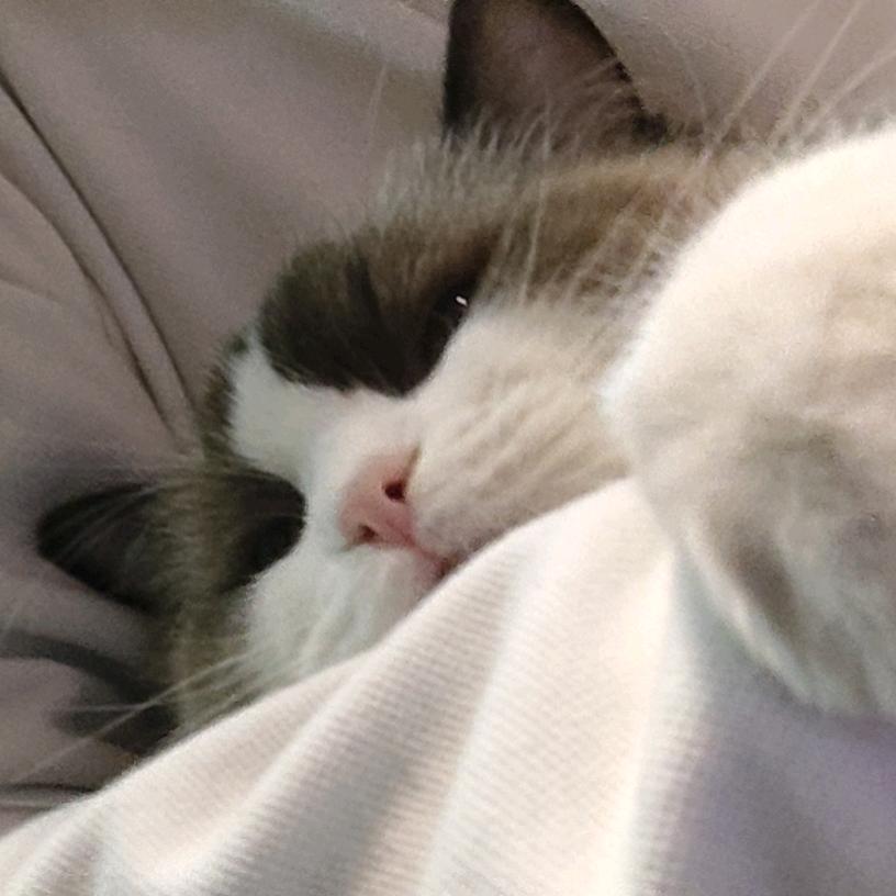 樂.