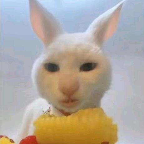 乌落（暗区突围）