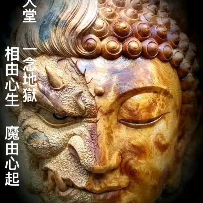 空鼻炼狱：无良庸医过度医疗受害者