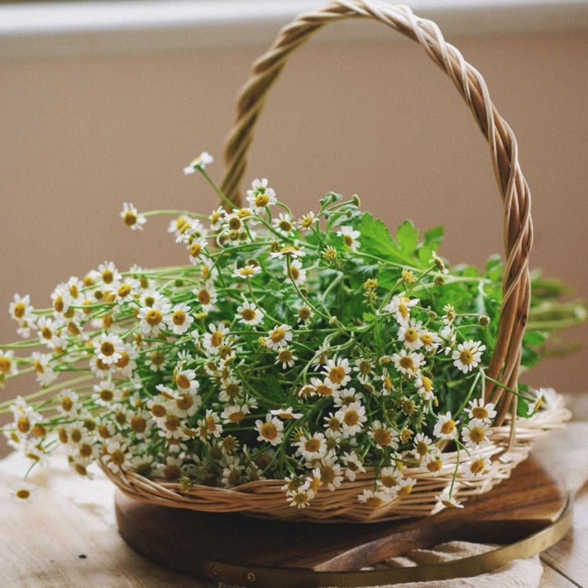 ღ᭄🍒紫水晶ღ᭄💞