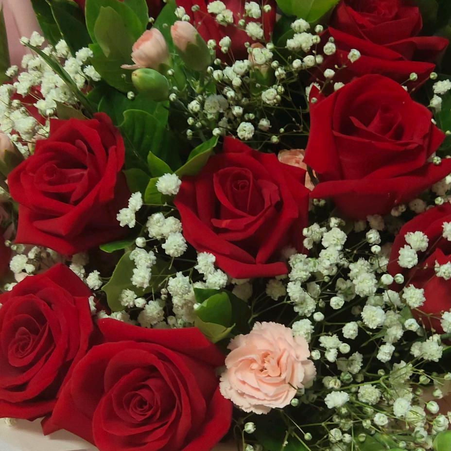 夏天过了，冬天来了