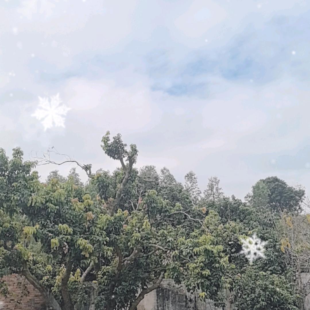 自渡